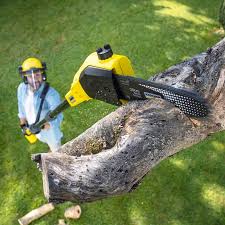 Best Commercial Tree Services  in Heber Springs, AR